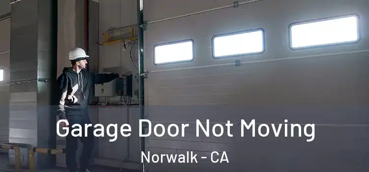  Garage Door Not Moving Norwalk - CA
