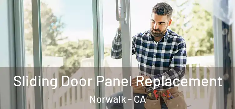  Sliding Door Panel Replacement Norwalk - CA